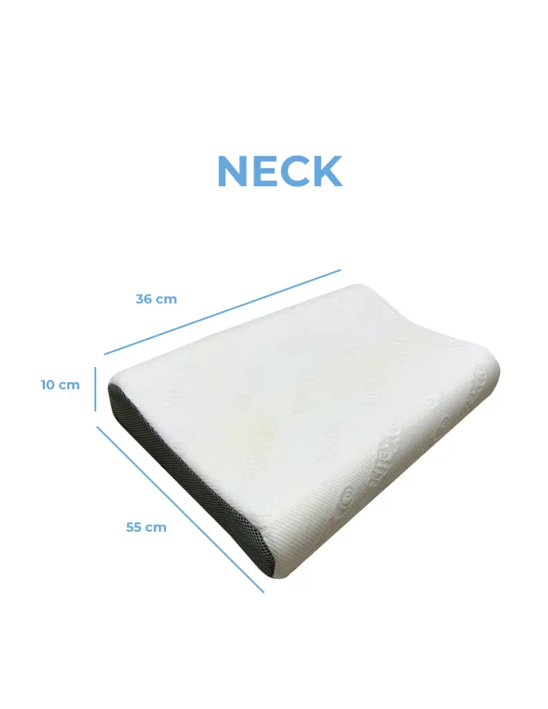 Mesa de trabajo 7.webp