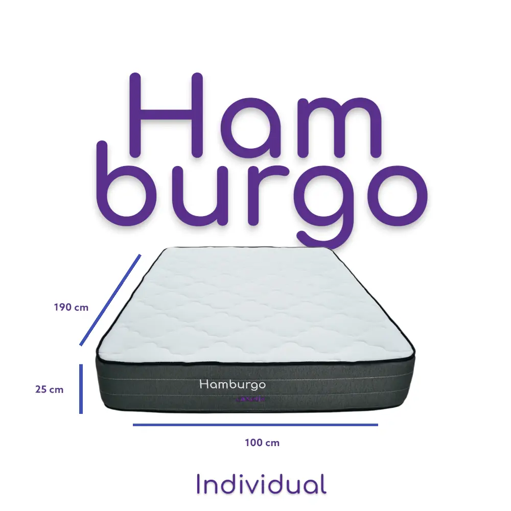 Hamburgo Individual -Photoroom.webp