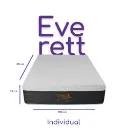 Everett individual-Photoroom.webp