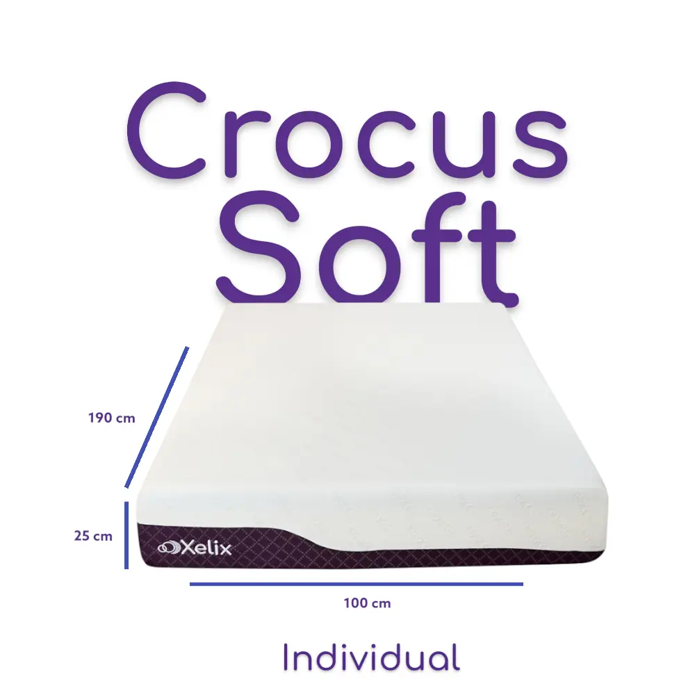 Crocus soft individual -Photoroom.webp