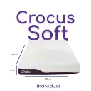 Crocus soft individual -Photoroom.webp