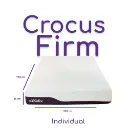 Crocus firm -indi-Photoroom (1).webp