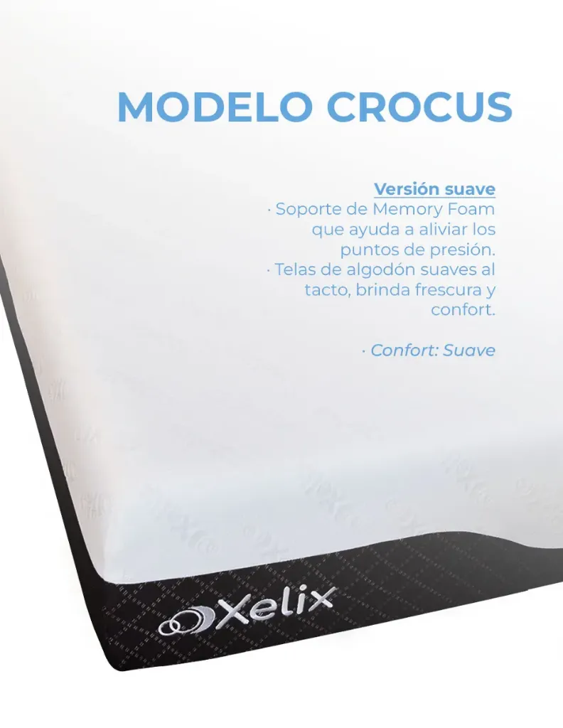 Crocus_VersionSuaveIMAGEN 5.webp