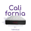 Everett individual (copia).webp