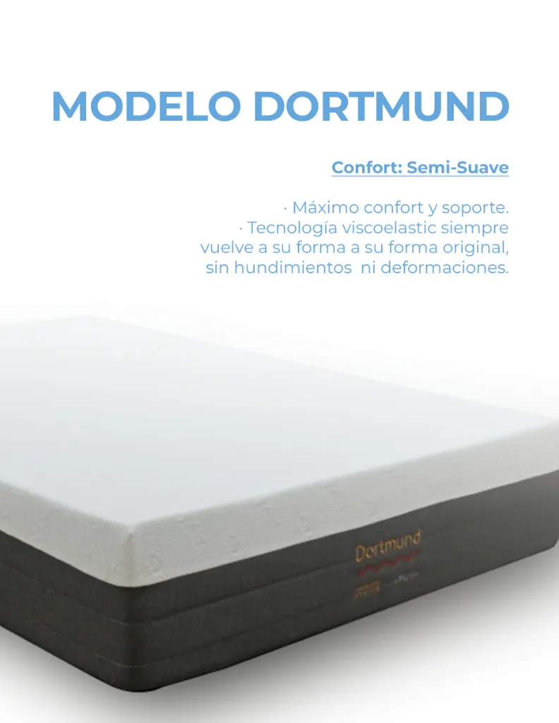 Imagen 5 detalle Dortmund.webp