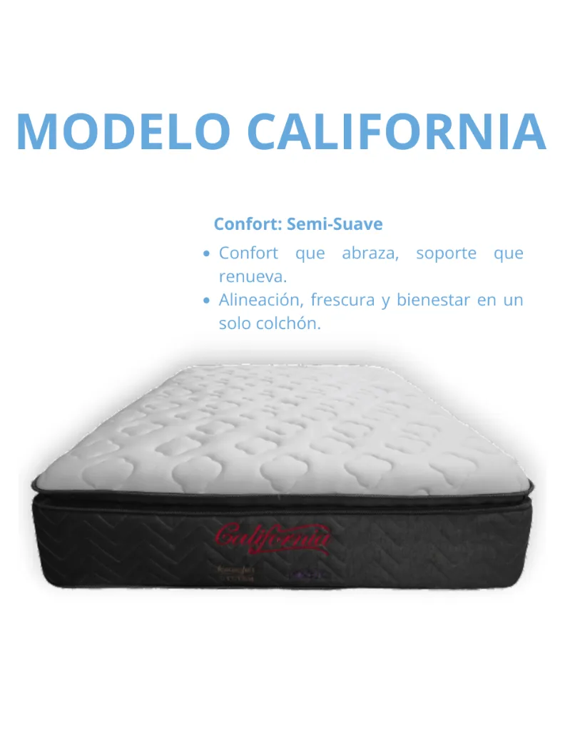 MODELO EVERETT (4).webp